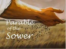 parable of sower